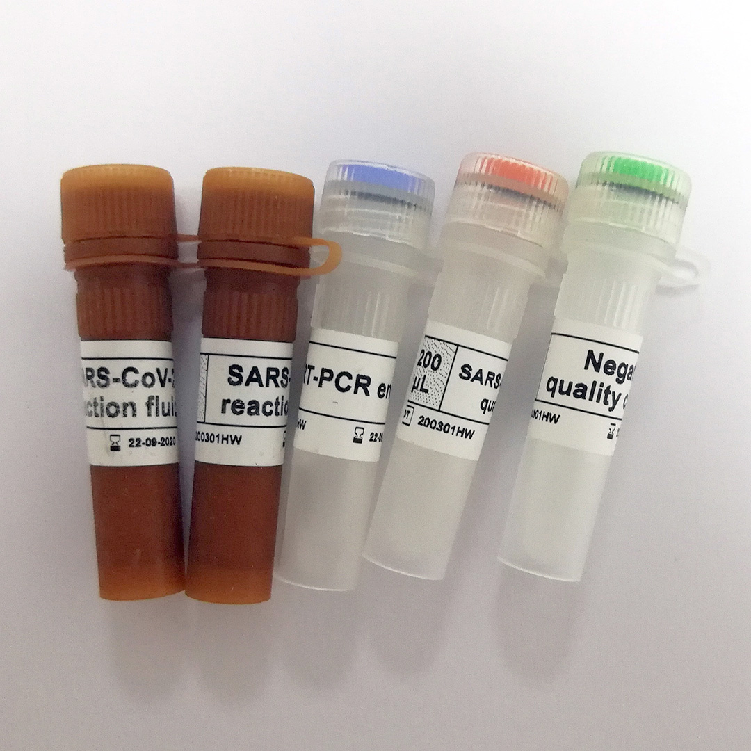 COVID-19 (SARS-Cov-2) Nucleic Acid Test Kit – Everest Products Co.,Ltd.